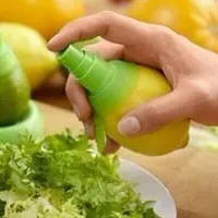 Manual citrus juicer with spray