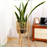 Practical baskets of wickerwork with handles - for order in the kitchen and bedroom, ideal as a base for flowers