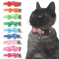 Cute collar with bow and bell for cats