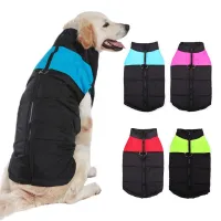 Gilet bicolore pour chiens Milla