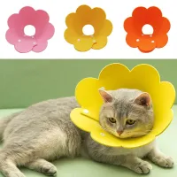 Cute Elizabethan cloth collar for faster healing pets