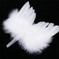 Frumoasă decorațiune aripă de înger (alb)