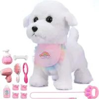 Electronic hairy dog for children - with accessories