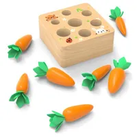 Wooden insertion toy with carrot