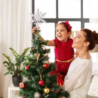 Modern Glossy Christmas Star for Mickey Tree