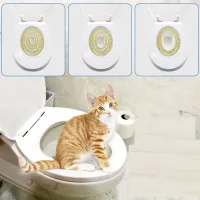 Cat toilet