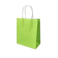 Paper gift bag 10 pcs