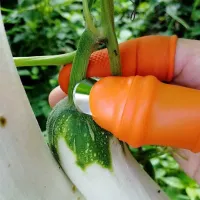 Fruit cutting tool