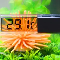 Thermometer for aquarists