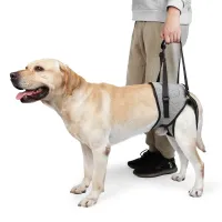 Special harness for helping haunted dogs while walking - several size variants