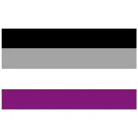 Flag of asexual pride 90 x 150 cm