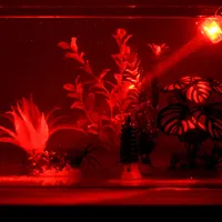 Iluminare LED rezistentă la apă pentru acvariu cu ventuză pentru perete