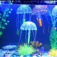 Shiny jellyfish for the aquarium