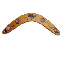 Wooden boomerang