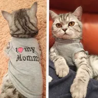 Roztomilý obleček pre mačky