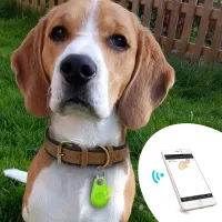 Pet Tracker | Pet Tracking Device