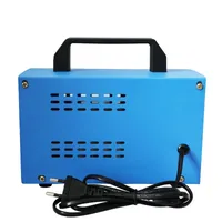 Ozone air cleaner Ozone generator 220 - 240 V 48 g