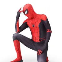 Spider-Man costume - other variants