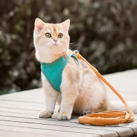 Cute harness for cats