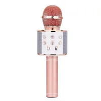 Wireless Karaoke Microphone with Bluetooth