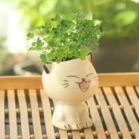 Decorative flower pot cat