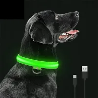Shining dog collar Ozzy