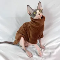 Sweat en peluche pour chats sphynx Gregory