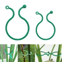 Plant-adjusting hooks