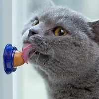 Nutriție pentru pisici sub formă de autocolant
