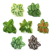 Mini bonsaj with leaves - decoration for your home