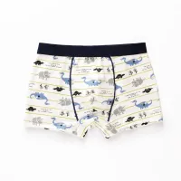 Boys boxers dinosaurs 0 Jeanice