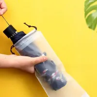 Storage bag for umbrella - transparent