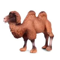 Figure camel A589