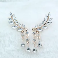 Elegant lady earrings