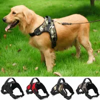 Comfortable harness for dogs Rex