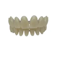 Dental prosthesis