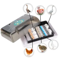Incubator digital automat pentru ouă