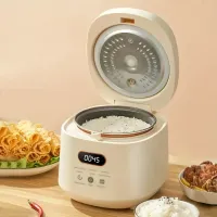 Small multifunctional rice cooker with removable non-stick container