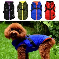 Warm outfit for dogs ZIPPER