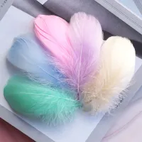 Natural coloured decorative feathers - 100 pcs