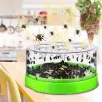 Automatic housefly trap
