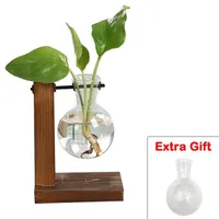 Hodgson-Burnett - Dark Academia Hydroponic vases for plants