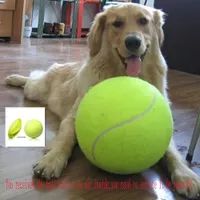 Balle de tennis interactive pour chiens