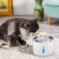 Filtering fountain/watering can for cats