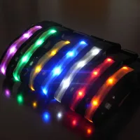 Ware LED light-up collar
