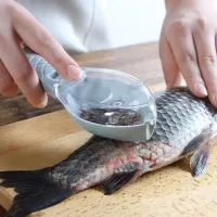 Fish scales aid