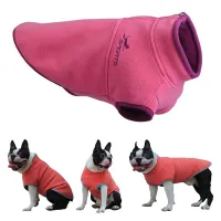 Winter suit for small dogs