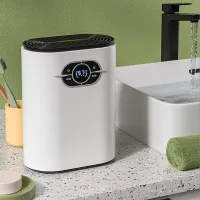 Dehumidifier with ion filter