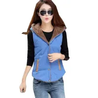 Modern women's vest and warm teddy lining, with hood, several color variants