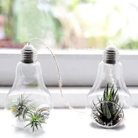 Hanging vase with bulb